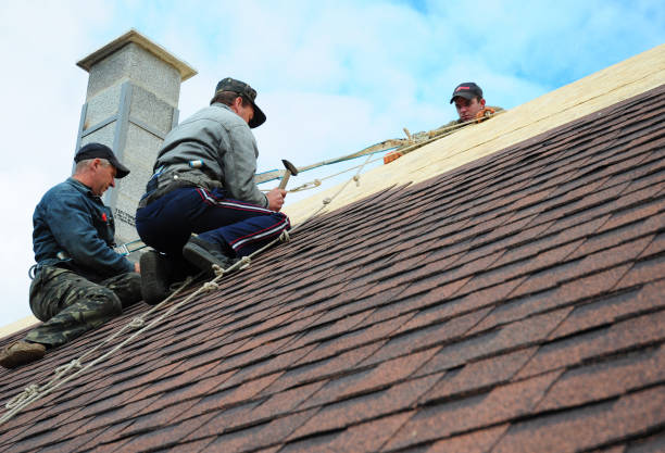 Best Flat Roof Repair Services  in Rutherford College, NC